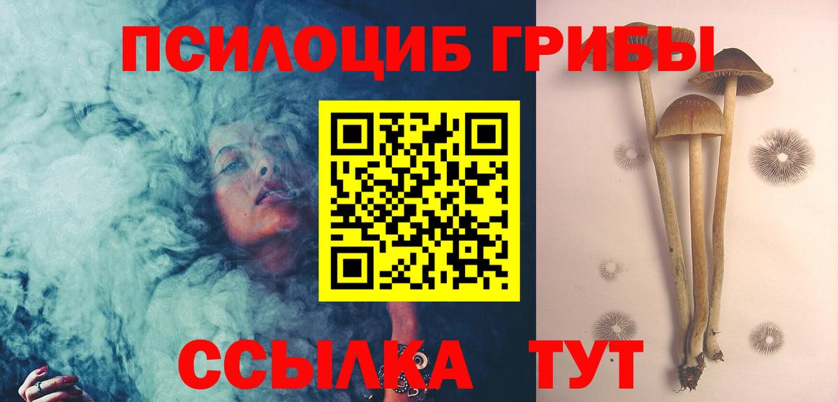 Десногорск  Галлюциногенные грибы GOLDEN TEACHER  наркошоп  Вход с VPN  Псилоцибиновые грибы Psilocybine cubensis 